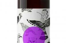 Wine Bottle for Zess